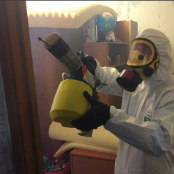 Уничтожение клопов в квартире. Ростов-на-Дону